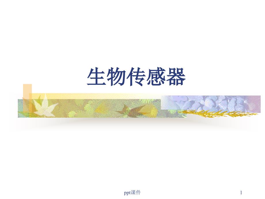 生物传感器课件_第1页