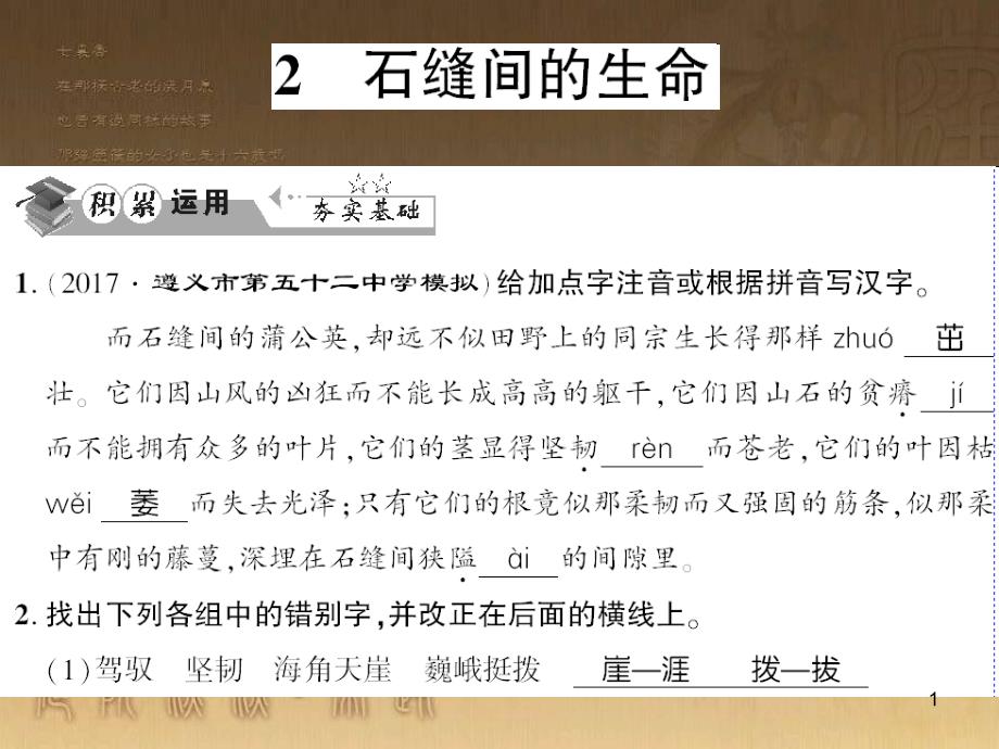 九年级语文下册 口语交际一 漫谈音乐的魅力习题课件 语文版 (78)_第1页