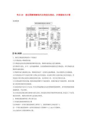 高考生物二輪復(fù)習(xí)專題6 變異、育種和進化 考點20 透過圖解理解現(xiàn)代生物進化理論并掌握相關(guān)計算-人教版高三生物試題