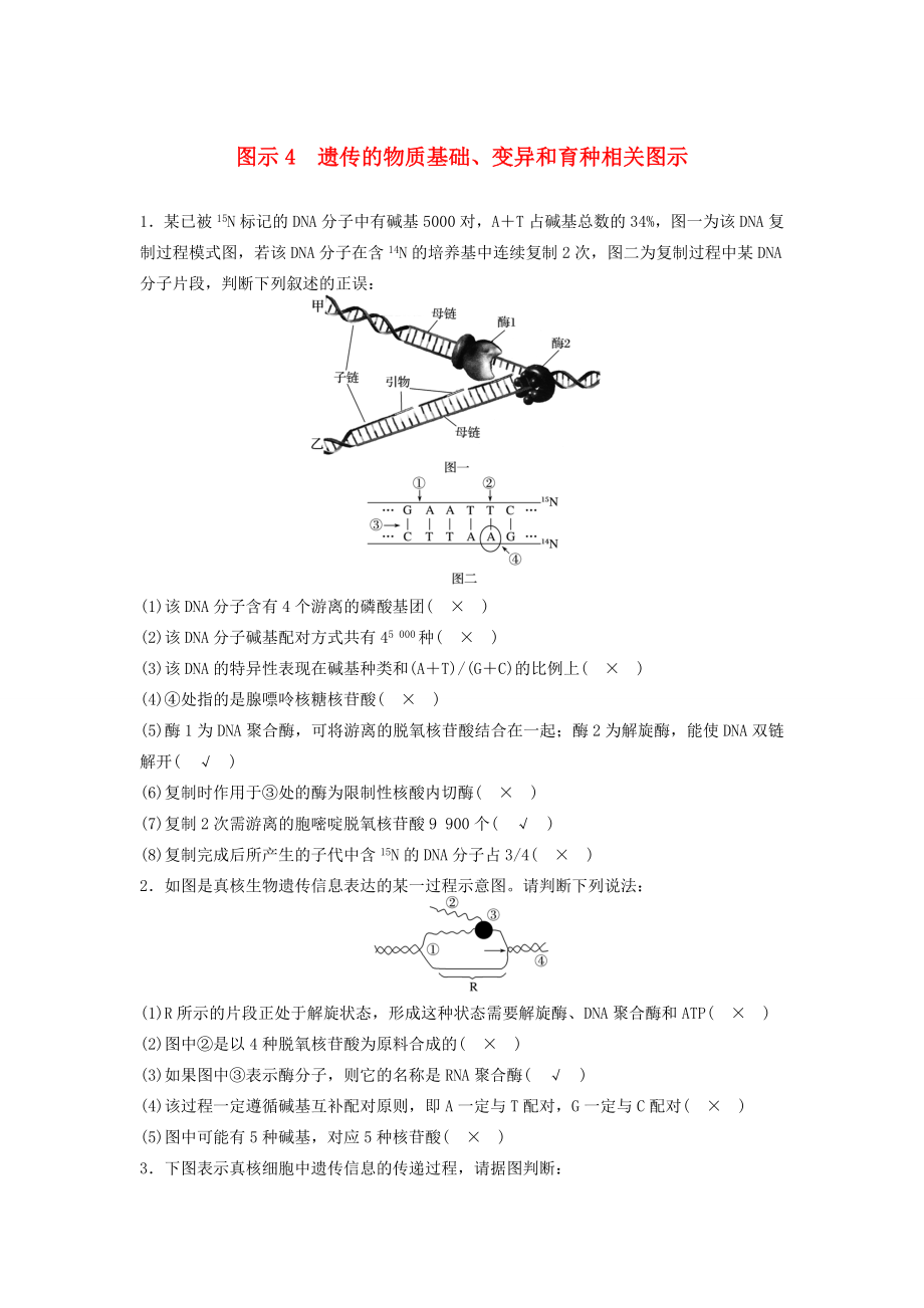 高考生物二轮复习专项4 考前回扣保温练 保温措施2 重点图示强化练4 遗传的物质基础、变异和育种相关图示-人教版高三生物试题_第1页