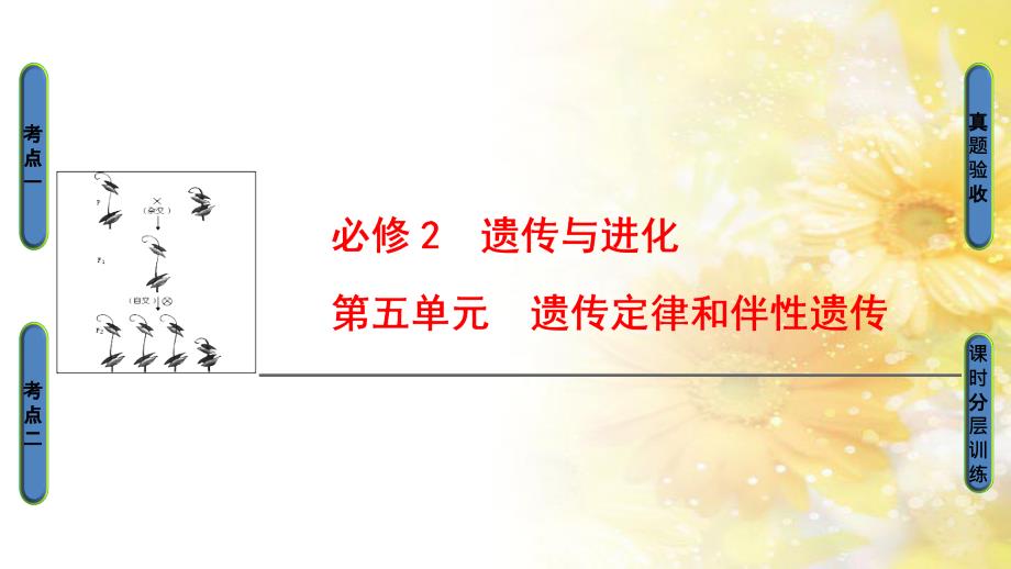 九年级语文下册 第一单元 1 家课件 语文版 (1030)_第1页