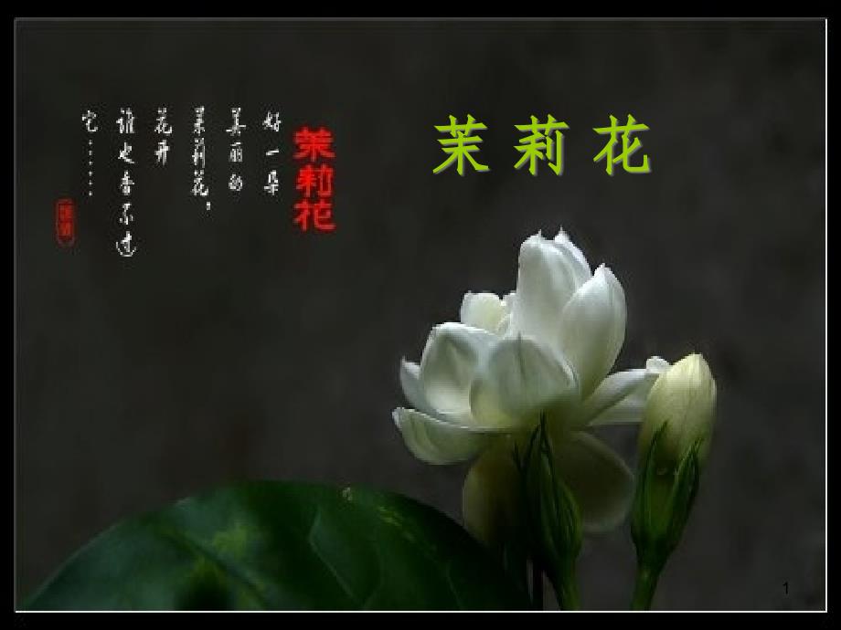 九年级音乐上册 第2单元《茉莉花》课件2 花城版_第1页