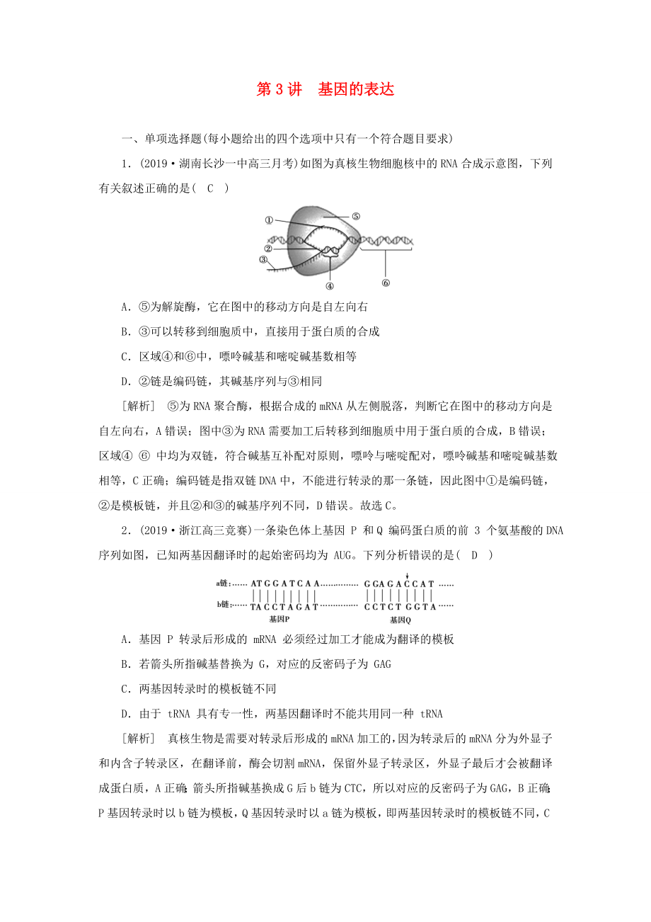 高考生物一輪復(fù)習(xí) 練習(xí)（19）基因的表達（含解析）新人教版-新人教版高三全冊生物試題_第1頁