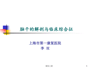 腦干的解剖及臨床綜合征（行業(yè)經(jīng)驗）