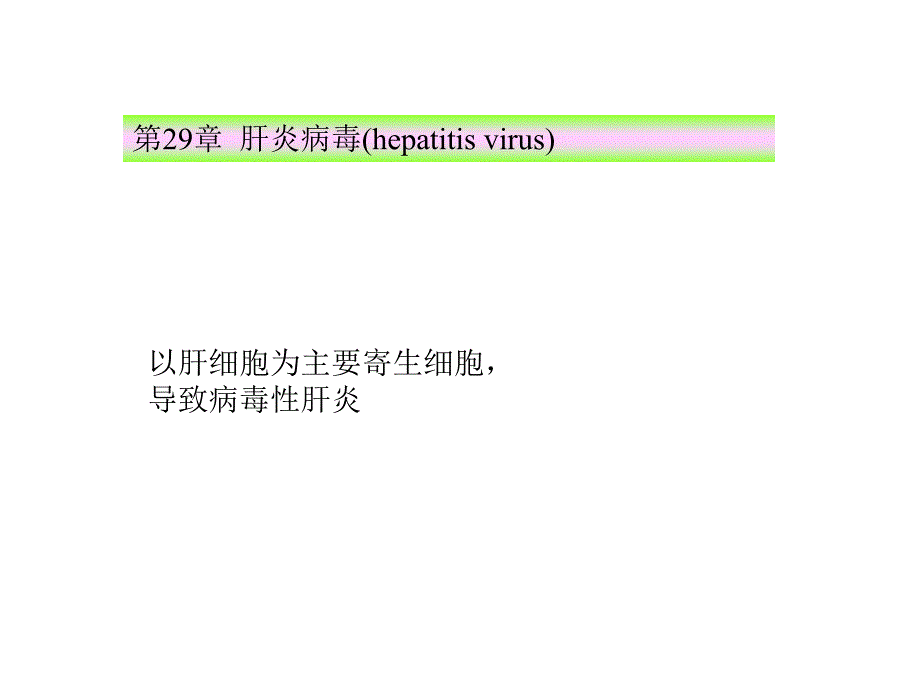 第28章 肝炎病毒[优质文档]_第1页