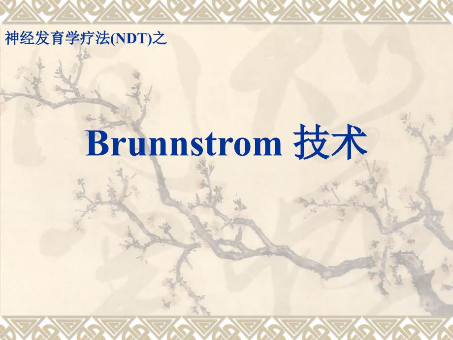 Brunnstrom 技术_第1页