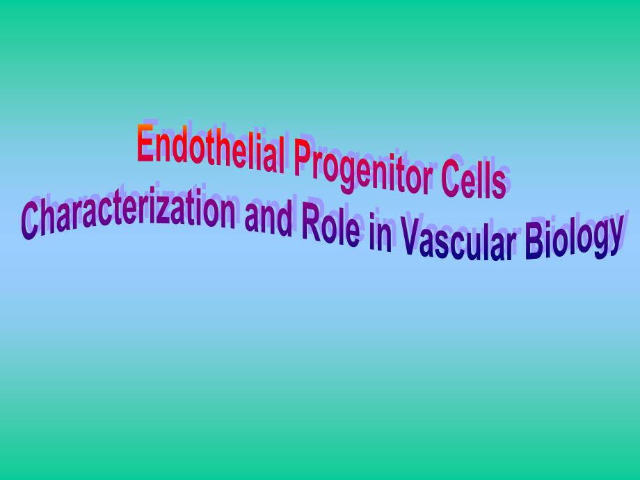 内皮祖细胞的研究进展_第1页