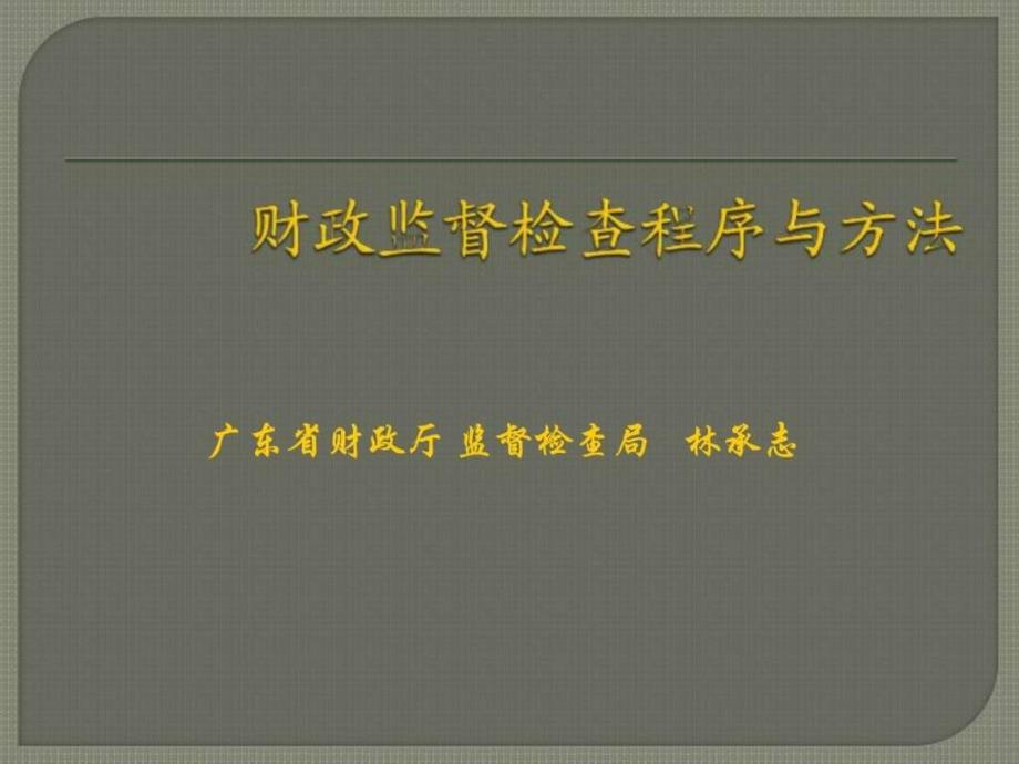 1113财政监督检查程序与方法_第1页