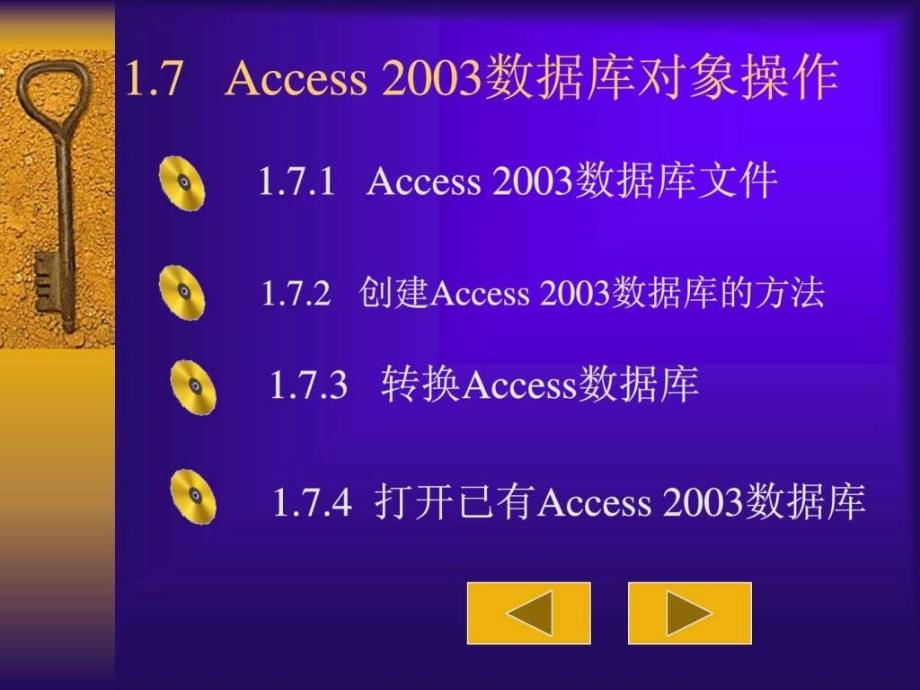 Access数据库对象操作_第1页