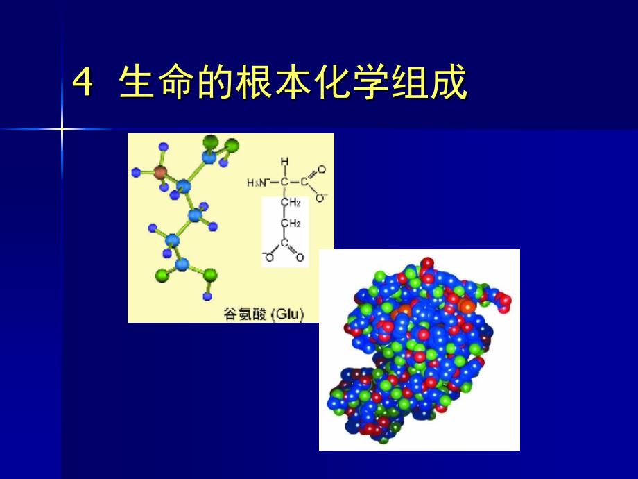 4a生命的基本化学组成_第1页