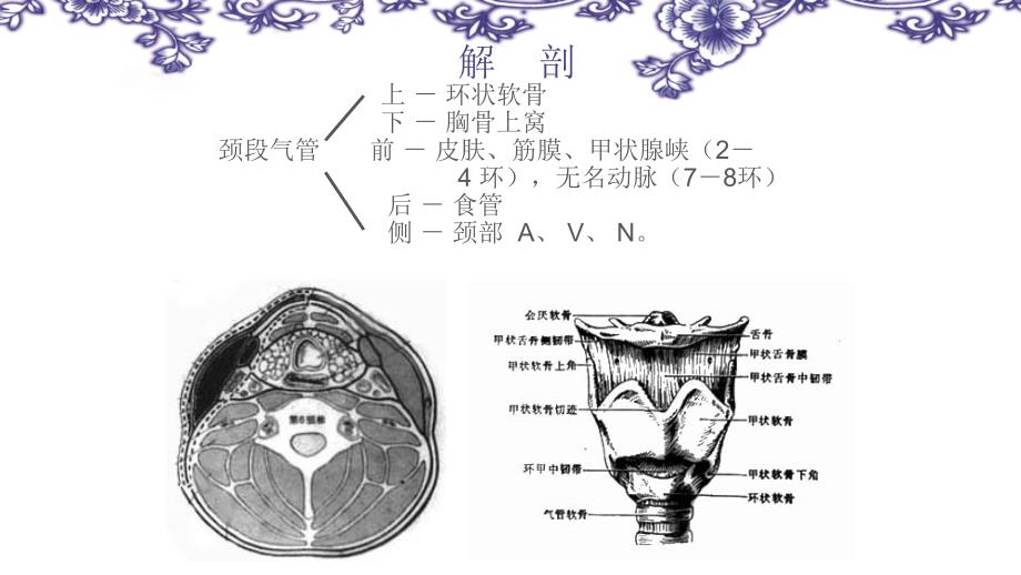 环甲膜穿刺术课件_第1页