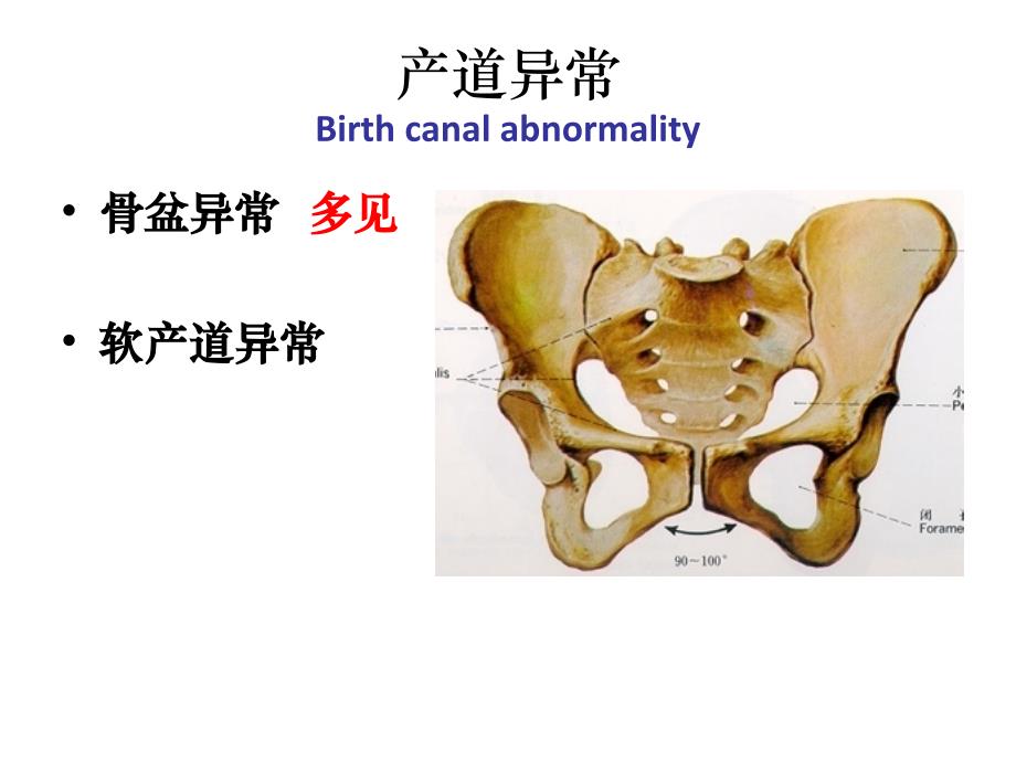 异常分娩产道异常课件_第1页