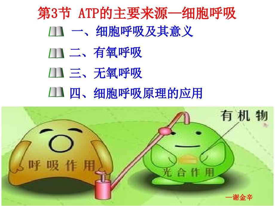 ATP的主要来源──细胞呼吸(修改_第1页