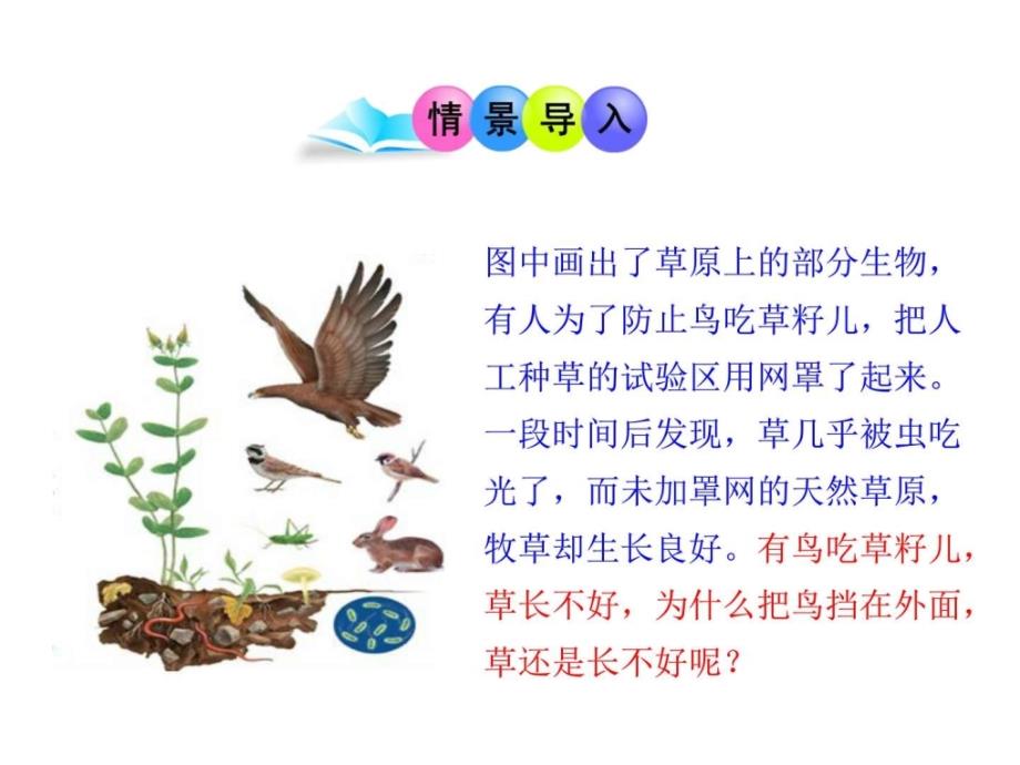 七年级生物与环境组成生态系统课件新人教版_第1页