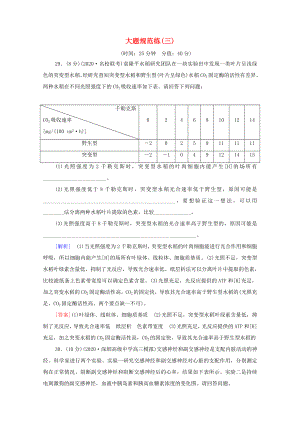 （統(tǒng)考版）高考生物二輪復習 大題規(guī)范練（三）（含解析）-人教版高三生物試題