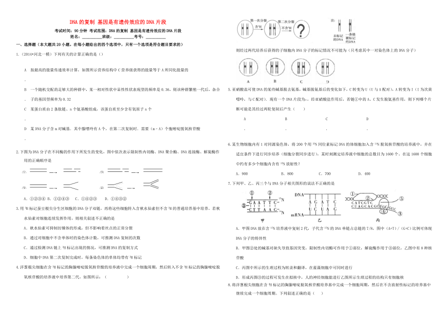 （衡水万卷）高三生物二轮复习 作业卷（十八）DNA的复制 基因是有遗传效应的DNA片段（含解析）-人教版高三生物试题_第1页