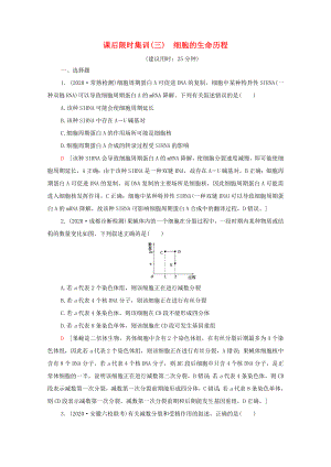 （统考版）高考生物二轮复习 课后限时集训3 细胞的生命历程（含解析）-人教版高三生物试题