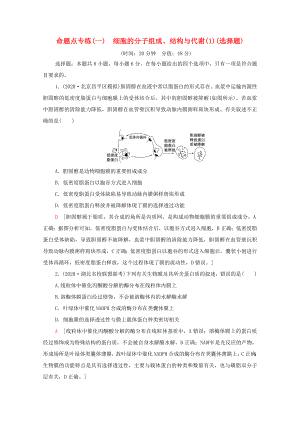 （統(tǒng)考版）高考生物二輪復(fù)習(xí) 命題點(diǎn)專練（一）細(xì)胞的分子組成、結(jié)構(gòu)與代謝（1）（選擇題）（含解析）-人教版高三生物試題