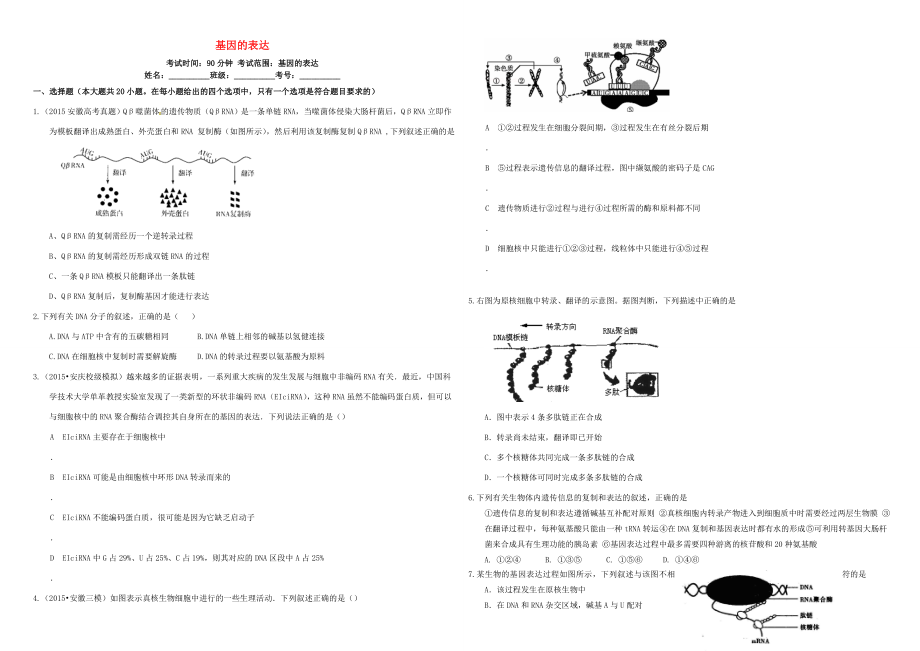 （衡水萬卷）高三生物二輪復(fù)習(xí) 作業(yè)卷（十九）基因的表達(dá)（含解析）-人教版高三生物試題_第1頁