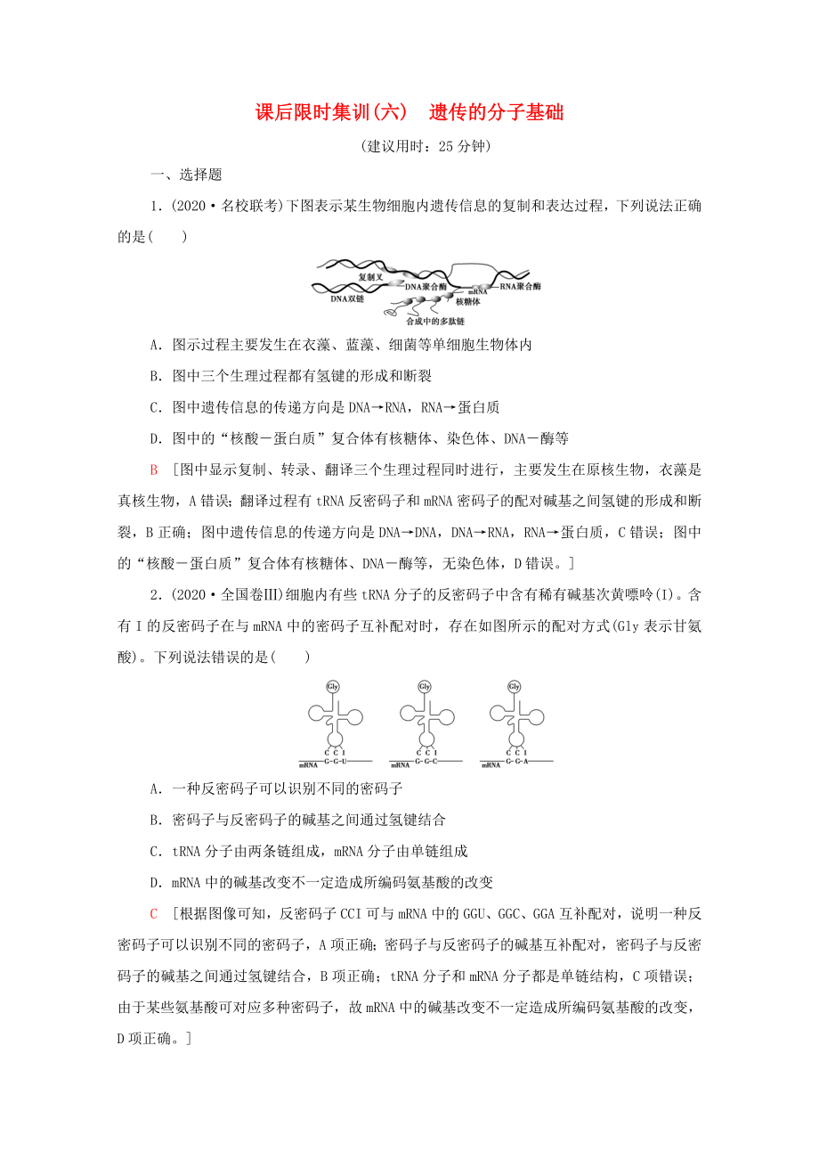 （統(tǒng)考版）高考生物二輪復(fù)習(xí) 課后限時(shí)集訓(xùn)6 遺傳的分子基礎(chǔ)（含解析）-人教版高三全冊(cè)生物試題_第1頁(yè)