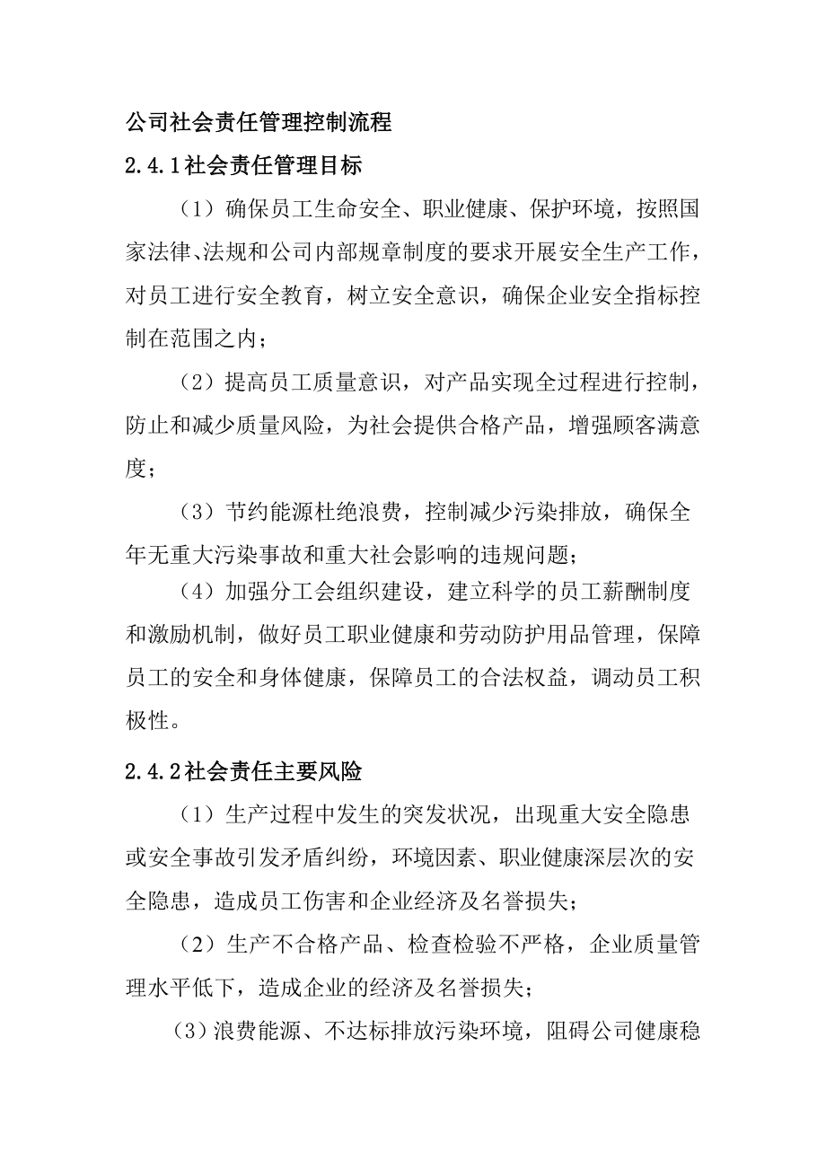 公司社会责任管理控制流程_第1页