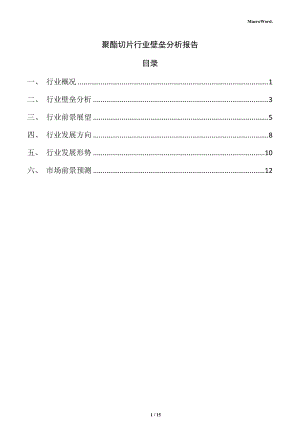 聚酯切片行业壁垒分析报告