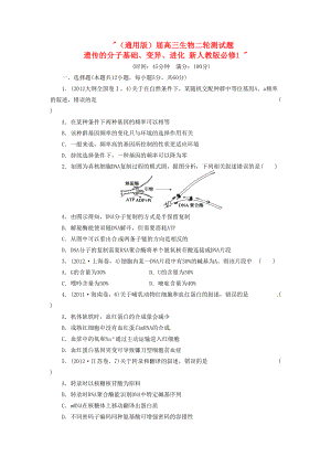 高三生物二輪測(cè)試題 遺傳的分子基礎(chǔ)、變異、進(jìn)化 新人教版必修1