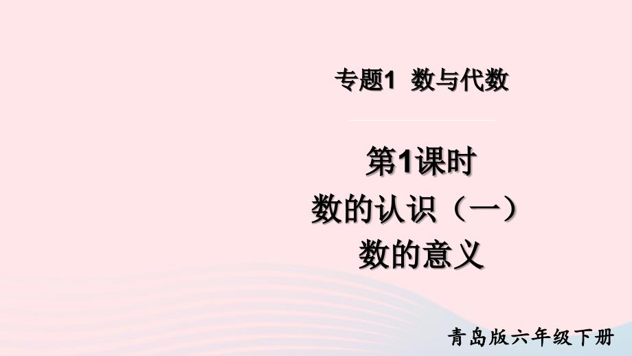 2023年六年级数学下册回顾整理__总复习专题1数与代数第1课时数的认识一数的意义上课课件青岛版六三制_第1页