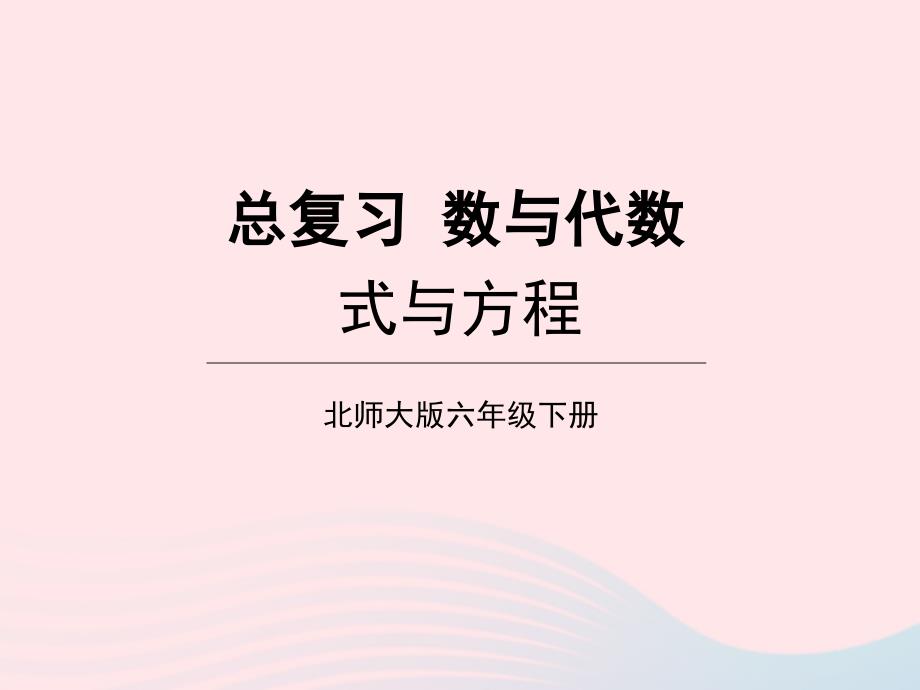 2023年六年级数学下册总复习专题一数与代数第7课时式与方程课件北师大版_第1页