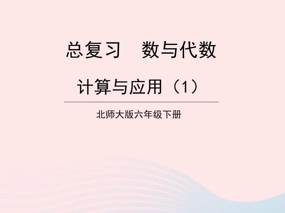 2023年六年级数学下册总复习专题一数与代数第4课时数的运算二计算与应用1课件北师大版_第1页