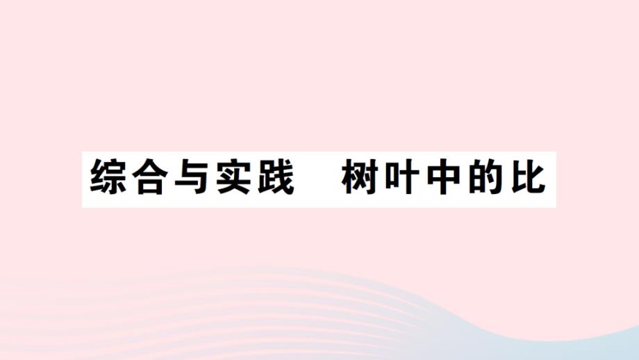 2023年六年级数学上册三分数除法综合与实践树叶中的比作业课件苏教版_第1页