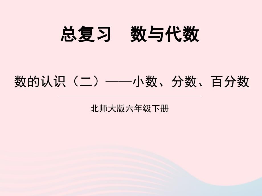 2023年六年级数学下册总复习专题一数与代数第2课时数的认识二小数分数百分数课件北师大版_第1页