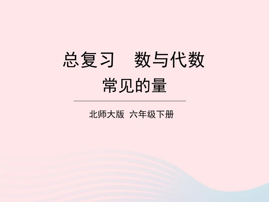 2023年六年级数学下册总复习专题一数与代数第9课时常见的量课件北师大版_第1页