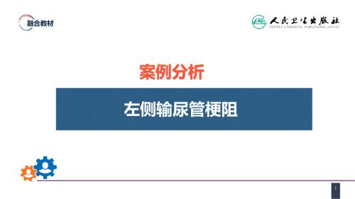 《輸尿管損傷》醫(yī)學(xué)課件