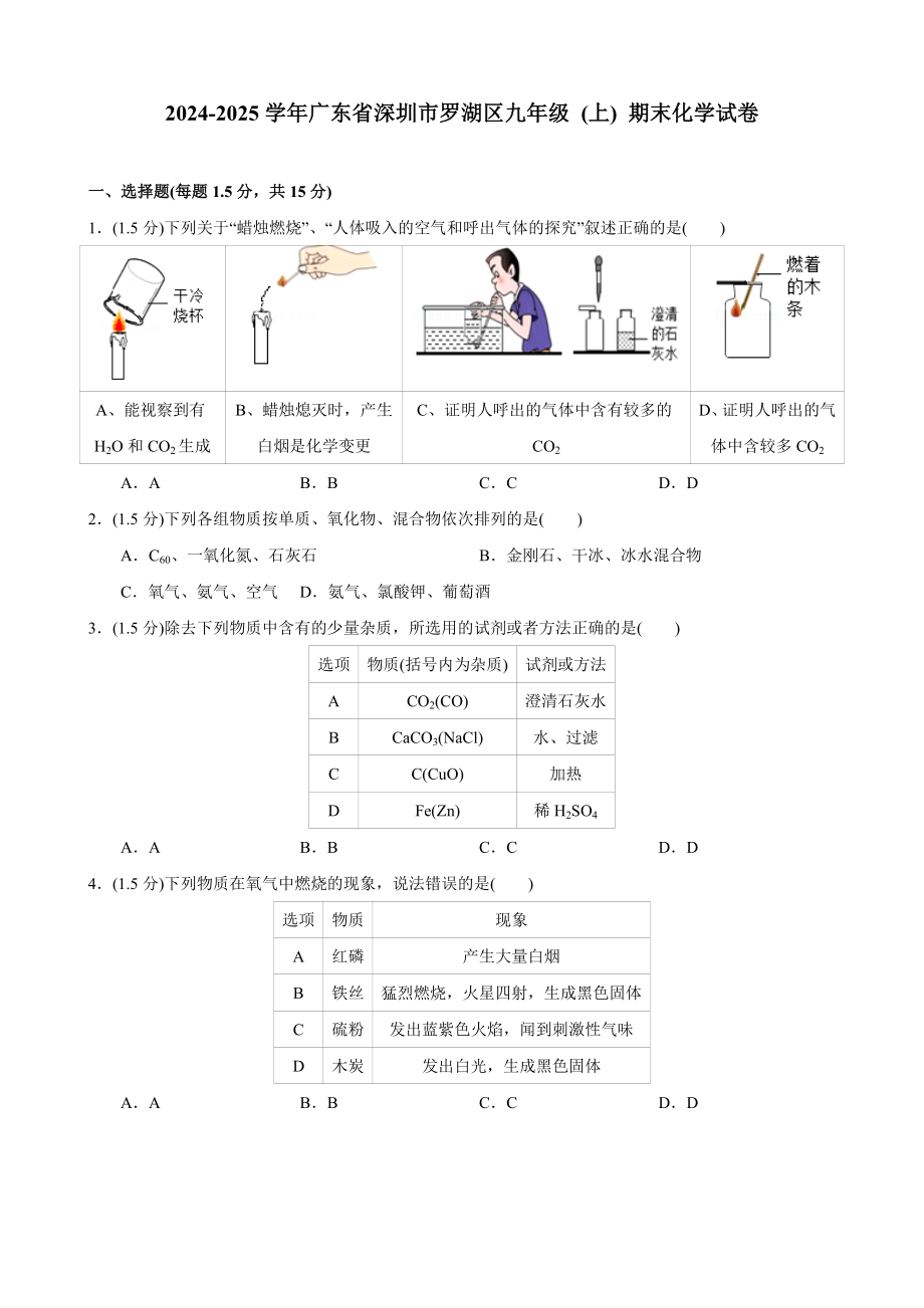 2024-2025學(xué)年廣東省深圳市羅湖區(qū)九年級(上)期末化學(xué)試卷_第1頁