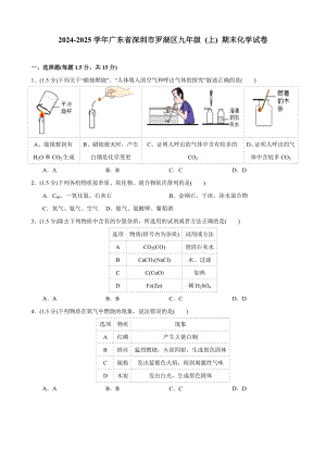 2024-2025學(xué)年廣東省深圳市羅湖區(qū)九年級(上)期末化學(xué)試卷