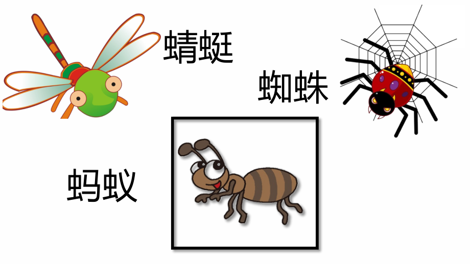 識(shí)字（二）5動(dòng)物兒歌（教學(xué)課件）2023-2024學(xué)年統(tǒng)編版語文一年級下冊_第1頁