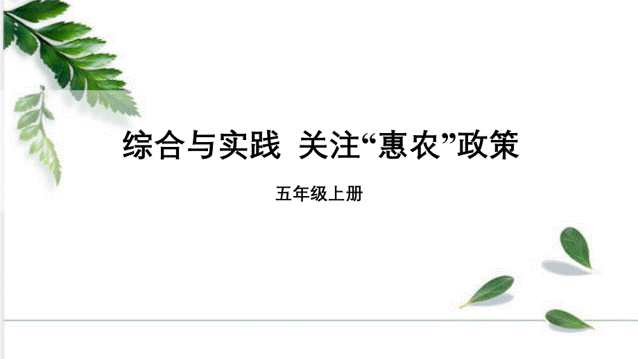 新课程标准（四）综合与实践——主题活动~五年级上册 关注“惠农”政策 课件_第1页