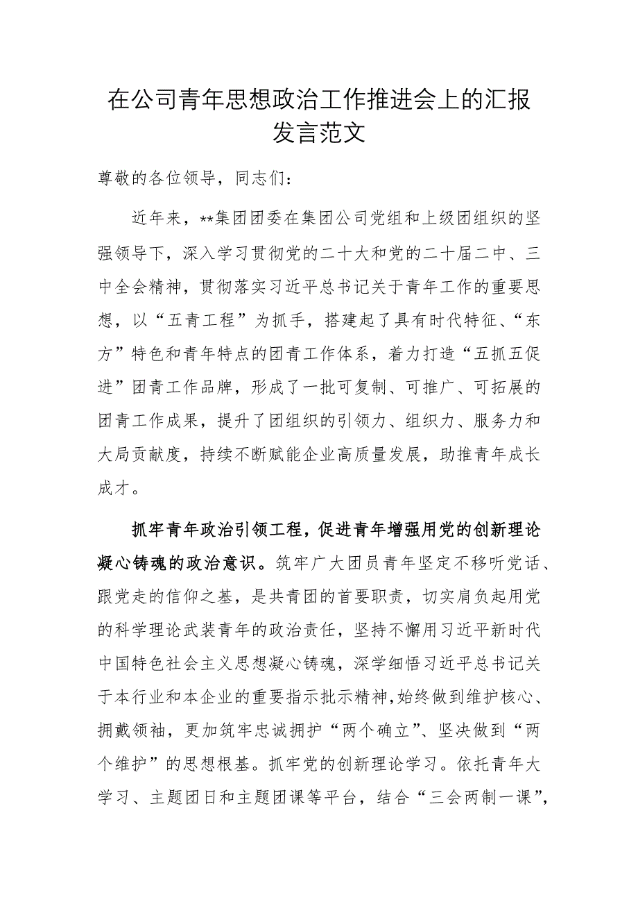 在公司青年思想政治工作推进会上的汇报发言范文_第1页