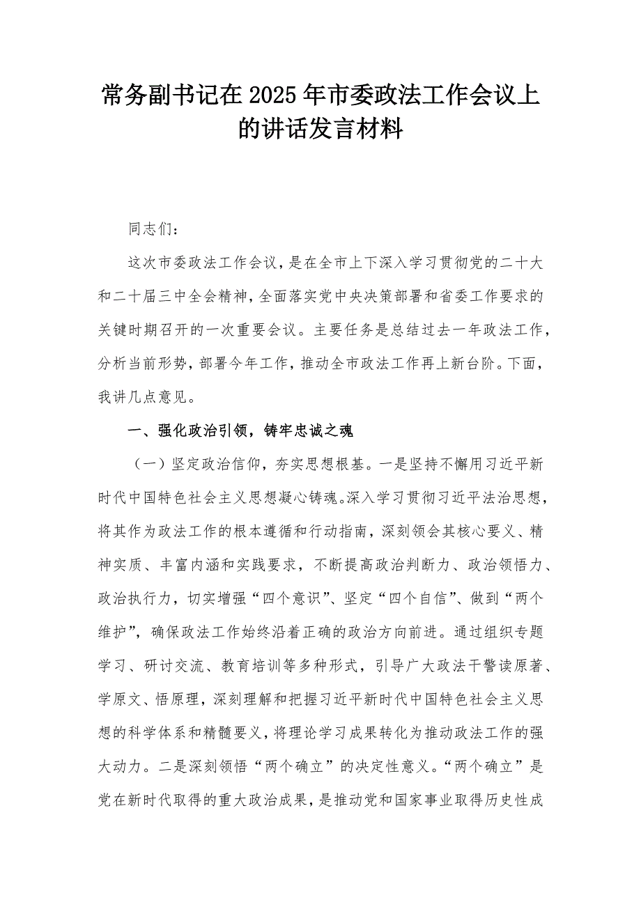 常务副书记在2025年市委政法工作会议上的讲话发言材料_第1页