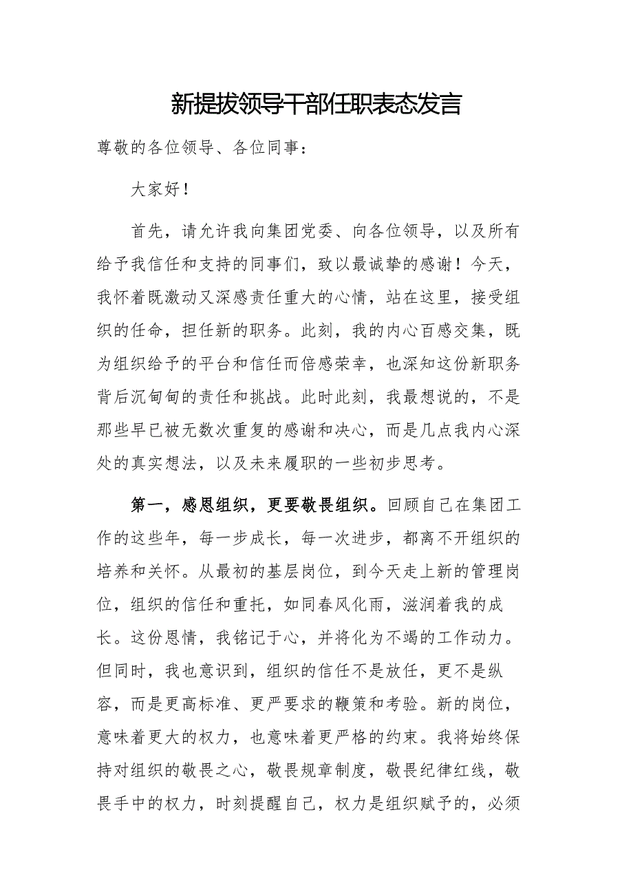 新提拔领导干部任职表态发言2篇_第1页