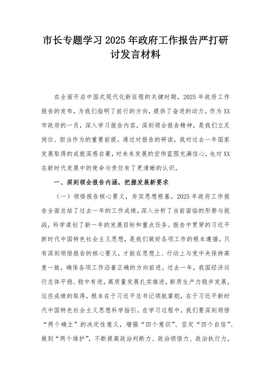 市长专题学习2025年政府工作报告严打研讨发言材料_第1页